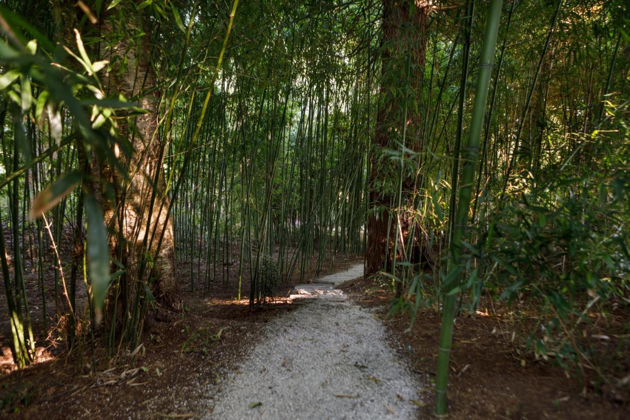 Finca La Peniga Mazcuerras Exterior foto